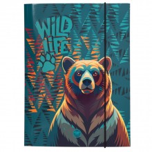 Папка с ластик A4 Coolpack - Bear